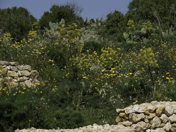 Ostrov gozo — Stock fotografie