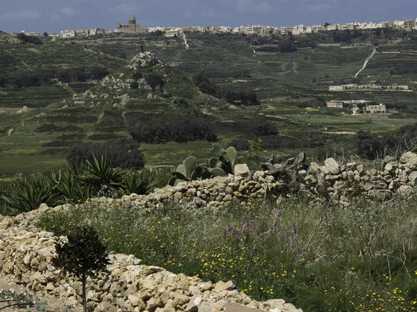 Island gozo — Stock Photo, Image