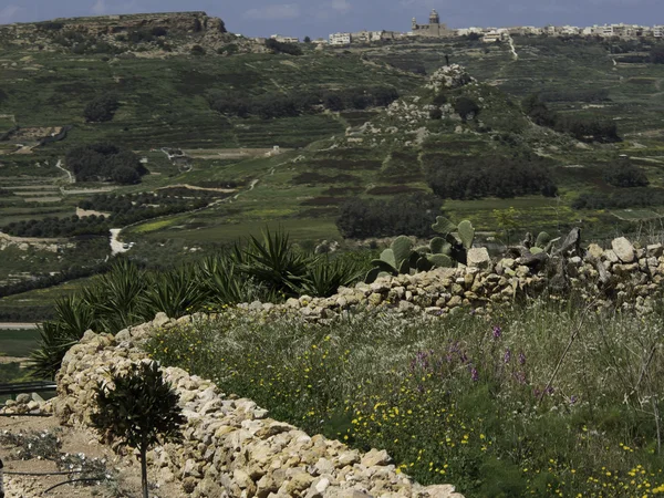 Island gozo — Stock Photo, Image