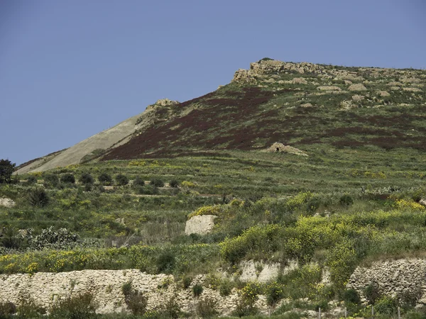 Gozo — Stock Photo, Image