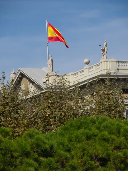 Barcelonés — Foto de Stock