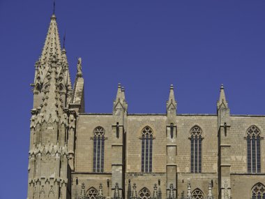 bir Palma de mallorca