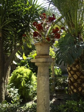 bir Palma de mallorca