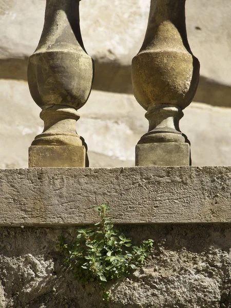 Palma de Mallorca — Stock Photo, Image