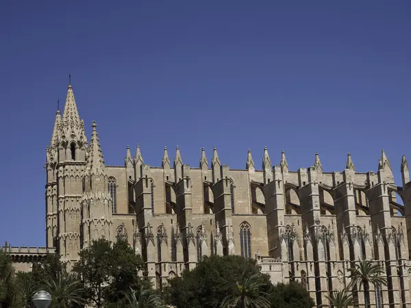 Palma — Stockfoto