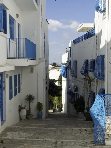 Tunis. — Fotografia de Stock