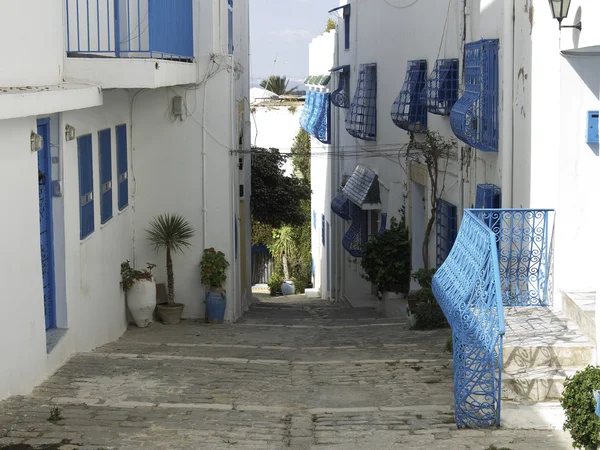 Tunis — Stockfoto