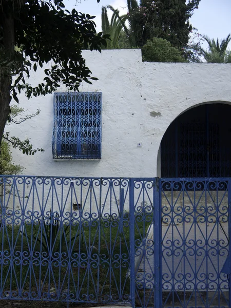 Tunis — Stock Photo, Image