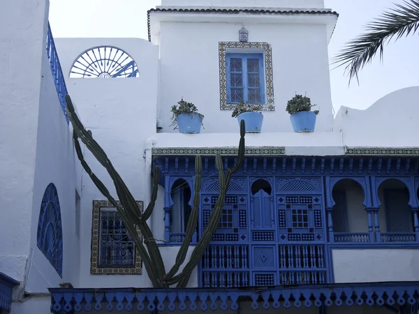 Tunis. — Fotografia de Stock