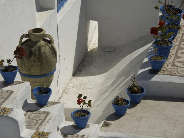 Tunis. — Fotografia de Stock