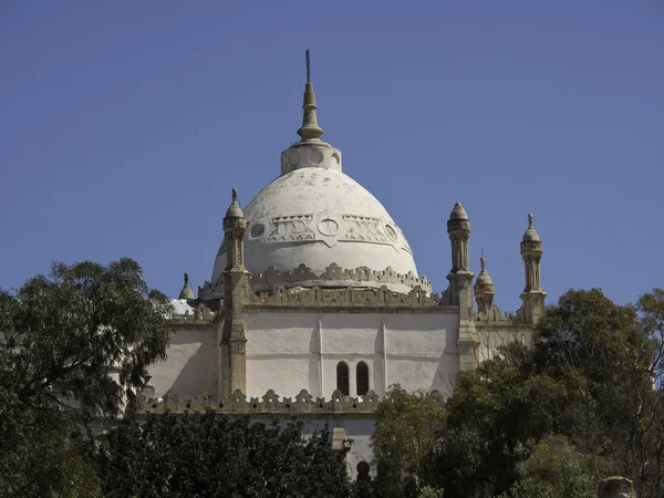 Tunis — Stock fotografie