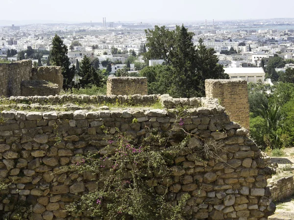 Tunis — Stock fotografie