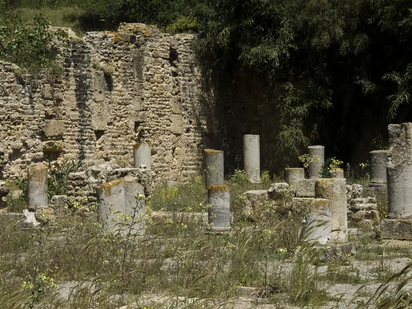 Tunis — Stockfoto