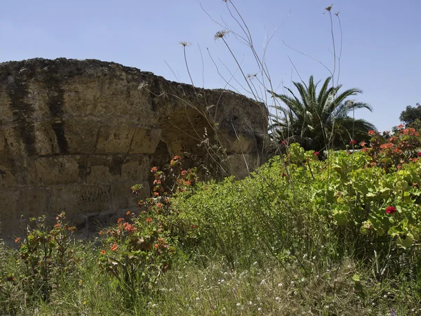 Tunis — Stockfoto