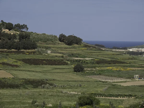 Gozo — Stockfoto