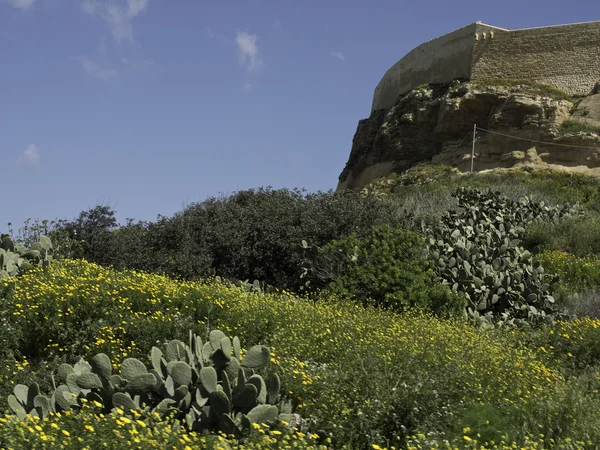 Gozo — Stockfoto