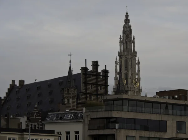 Antwerpen — Stockfoto