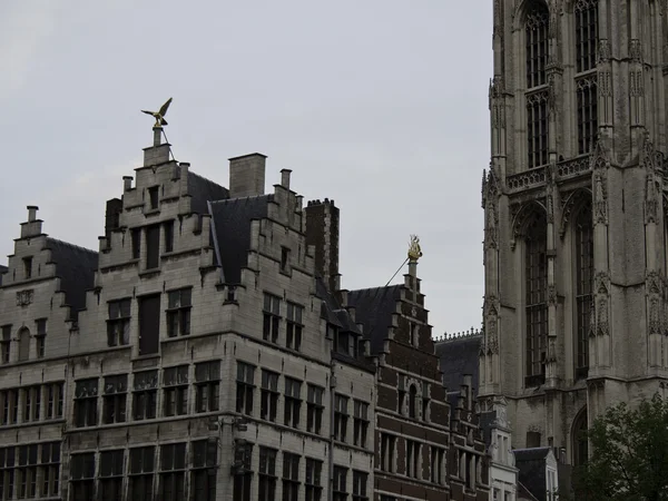 Antwerpen — Stockfoto