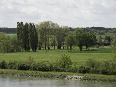 seine Nehri