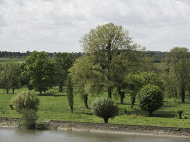 seine Nehri