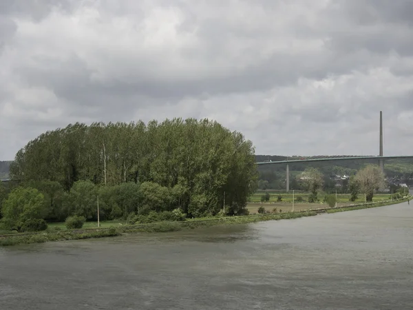 seine Nehri