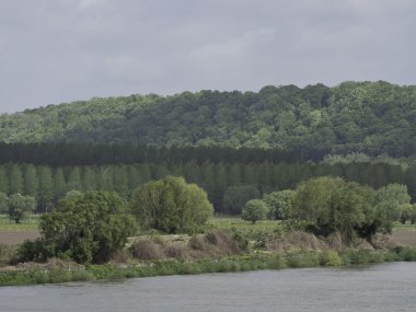 seine Nehri
