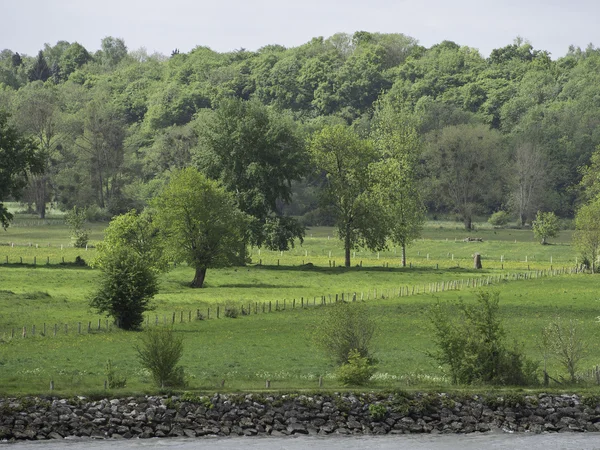 Rivière Seine — Photo