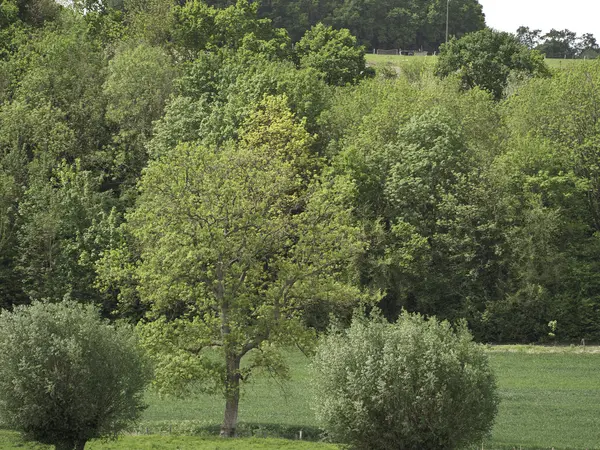 Flusslandschaft — Stockfoto