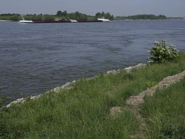 De Rijn — Stockfoto