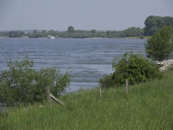 Річки Рейн — стокове фото