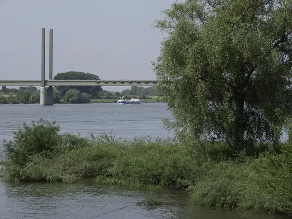 Rhein — Stockfoto