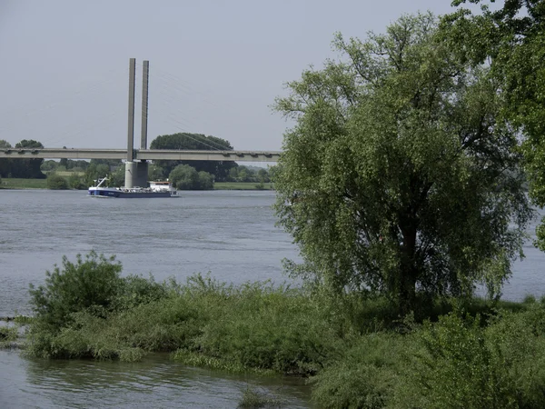 River rhine — Stok fotoğraf