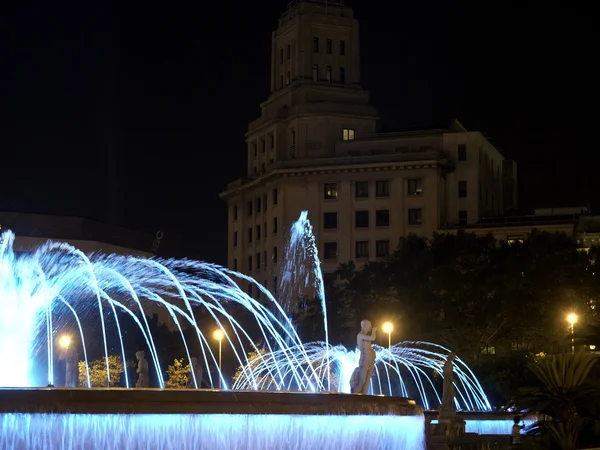 Barcelonés — Foto de Stock