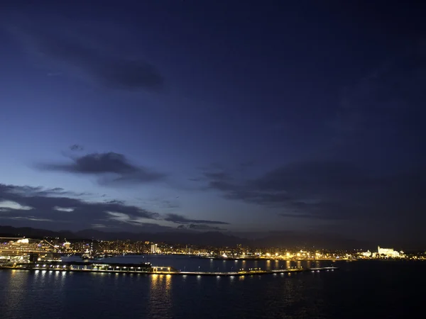 Palma. — Fotografia de Stock