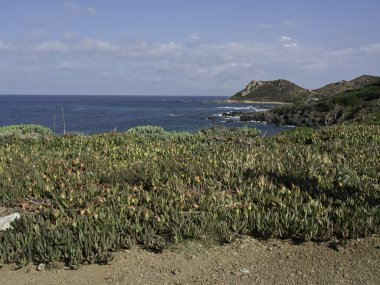 Corsica