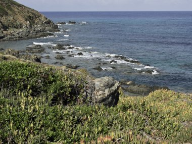 Corsica