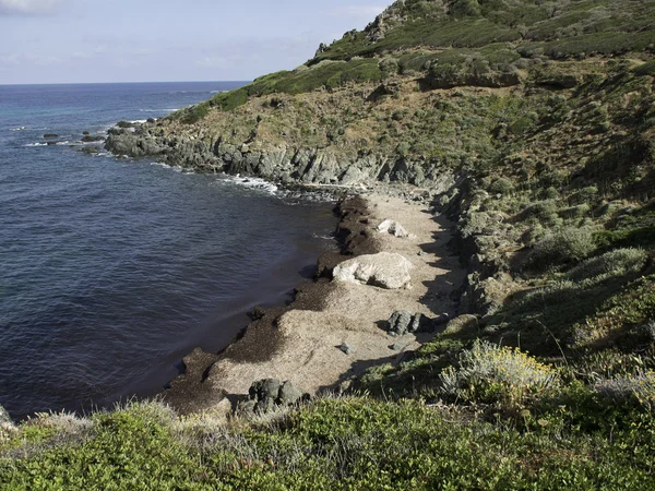 Korsyka — Zdjęcie stockowe