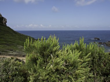 Corsica