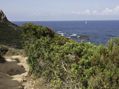 Corsica