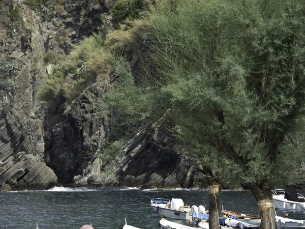 Cinque terre — Fotografia de Stock