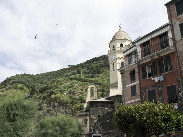 Delle cinque terre — Foto Stock