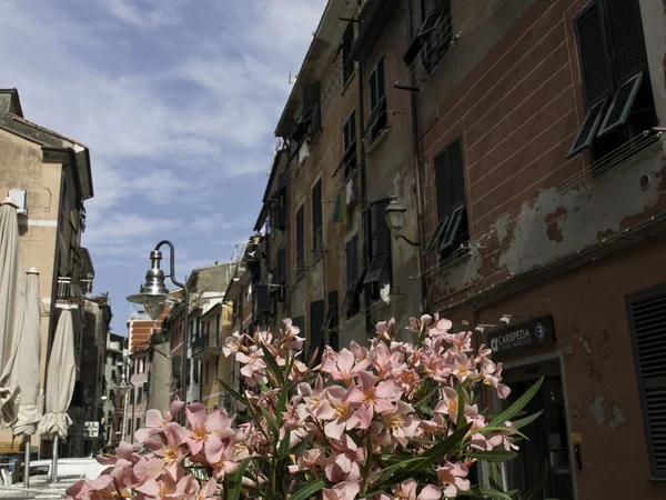 La spezia — Foto de Stock