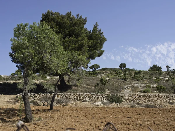 Ibiza — Foto de Stock