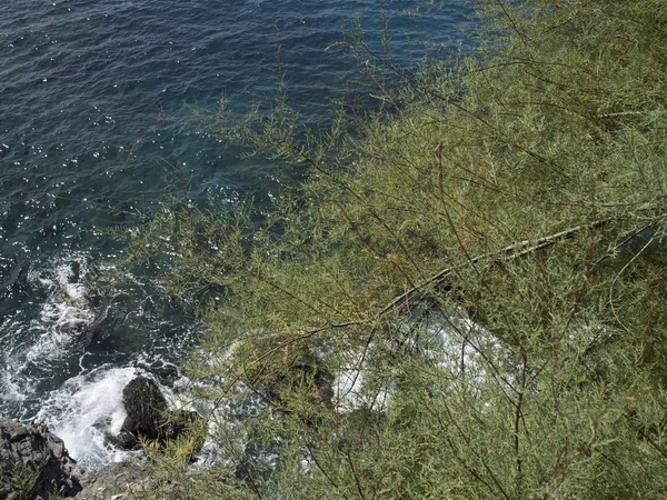 Delle cinque terre — Foto Stock