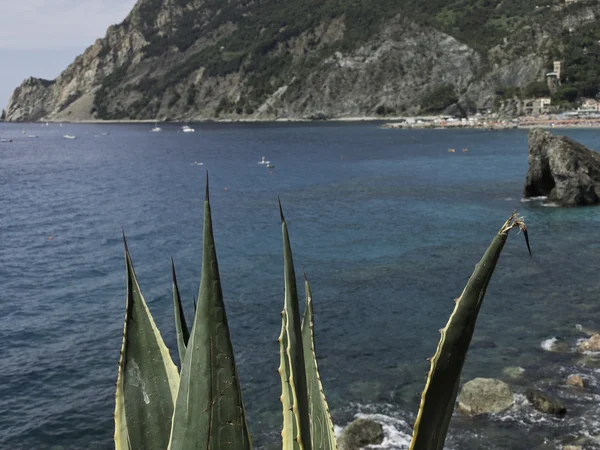 Cinque terre — Fotografia de Stock