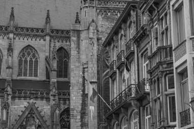 Belçika 'daki Wallonia' da sonbahar zamanı