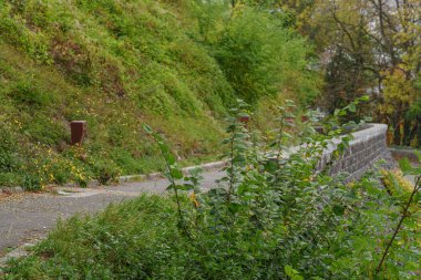 Belçika 'daki Wallonia' da sonbahar zamanı