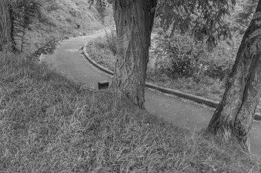 Belçika 'nın Namur kenti