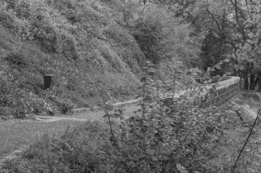 Belçika 'nın Namur kenti