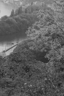 Belçika 'nın Namur kenti